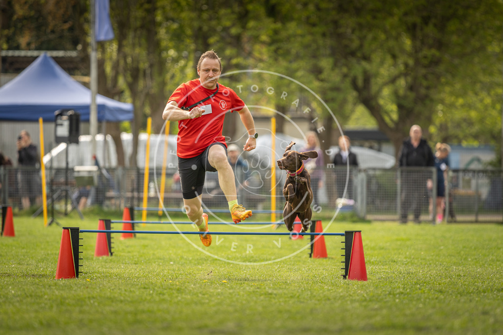 Pfotenfotografie_DV3A6003 | Hundefotografie, Tierfotograf, Pfotenfotografie, Fotoshooting Hund, Hunde Portrait, Hundesport, Hundeportraits, Heideshooting, Hunde, Sportfotograf, Hundefotograf, Turnierhundsport, THS,  - Realisiert mit Pictrs.com