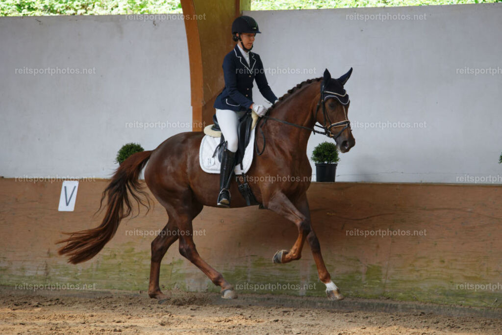 JHE_1282 | JoYa Fotografie - Realisiert mit Pictrs.com