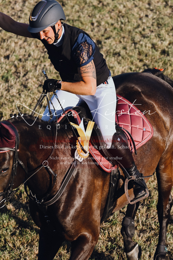 DSC_3305 | Pferde- und Turnierfotografie in Westsachsen. Pferdeportraits, Auftragszeichnungen und intuitive Kunst.