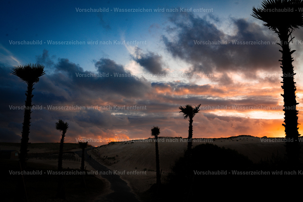 DSC01886 | marcuslinek