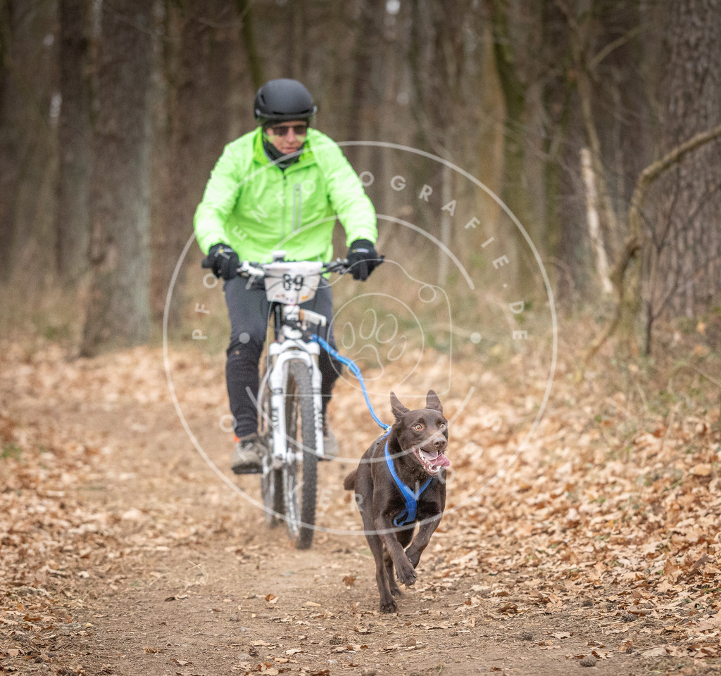 Pfotenfotografie_DV3A6510 | Hundefotografie, Tierfotograf, Pfotenfotografie, Fotoshooting Hund, Hunde Portrait, Hundesport, Hundeportraits, Heideshooting, Hunde, Sportfotograf, Hundefotograf, Turnierhundsport, THS,  - Realisiert mit Pictrs.com