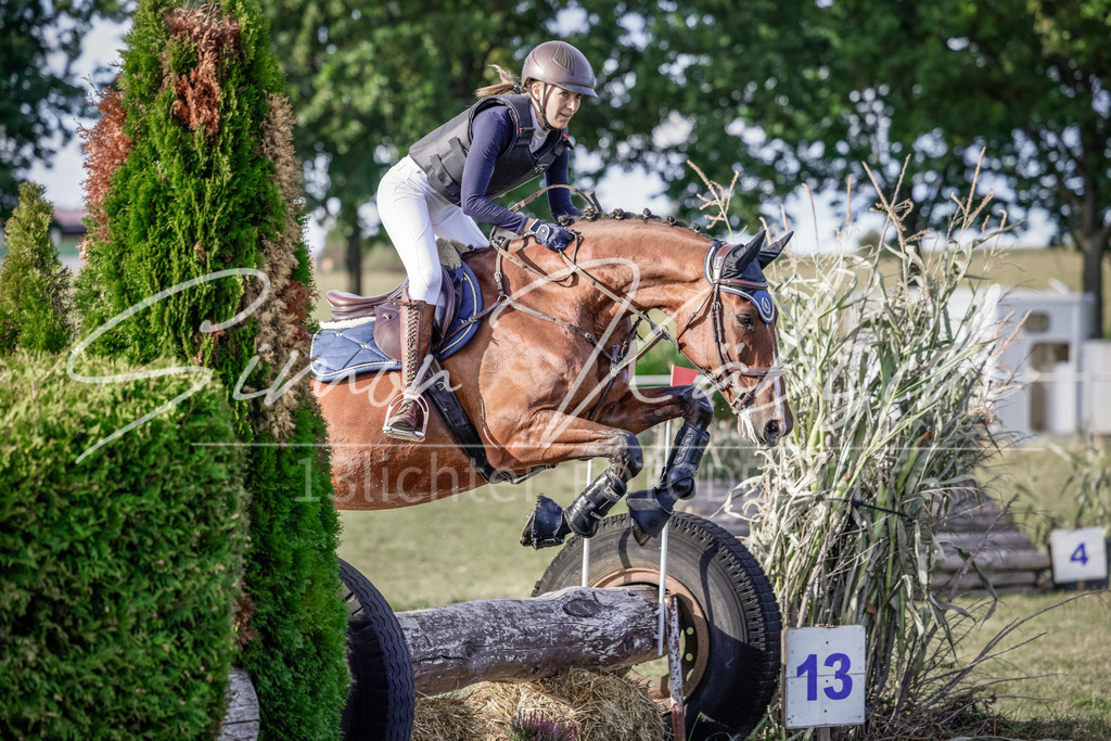 20250906-_3LI7560 | Tierfotografie Pferde, Hunde, Katzen, Haustiere.
Turnierfotografie Reitturniere, Reiten, Springreiten, Dressur in Hanau, dem Main-Kinzig-Kreis und dem Rhein-Main- Gebiet um Frankfurt