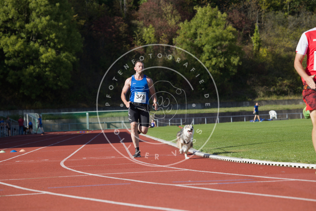 0L8A9738 | Hundefotografie, Tierfotograf, Pfotenfotografie, Fotoshooting Hund, Hunde Portrait, Hundesport, Hundeportraits, Heideshooting, Hunde, Sportfotograf, Hundefotograf, Turnierhundsport, THS,  - Realisiert mit Pictrs.com