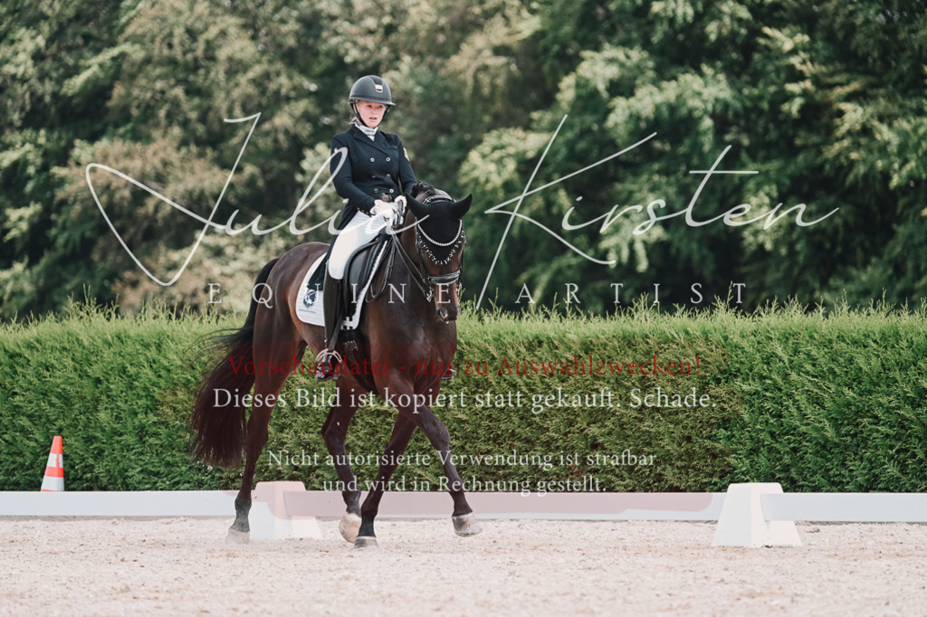 DSC_4328-2 | Pferde- und Turnierfotografie in Westsachsen. Pferdeportraits, Auftragszeichnungen und intuitive Kunst.