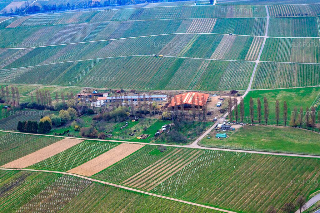Luftbild: Pferdepension Hirtenbrunner Hof an der Aalmühl in Ilbesheim bei Landau im Bundesland Rheinland-Pfalz in Deutschland. Foto: IMG_25351.jpg vom 25.03.2010 durch Werner Riehm/FLY-FOTO.deHirtenbrunner Hof