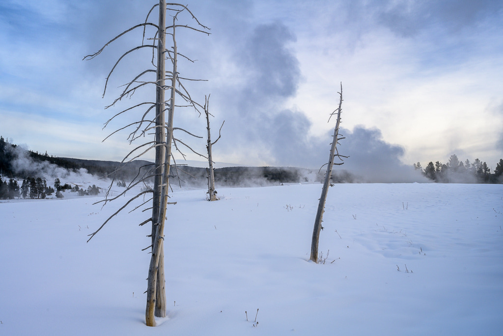 2024-202 | Upper Geyser Basin. - Realisiert mit Pictrs.com