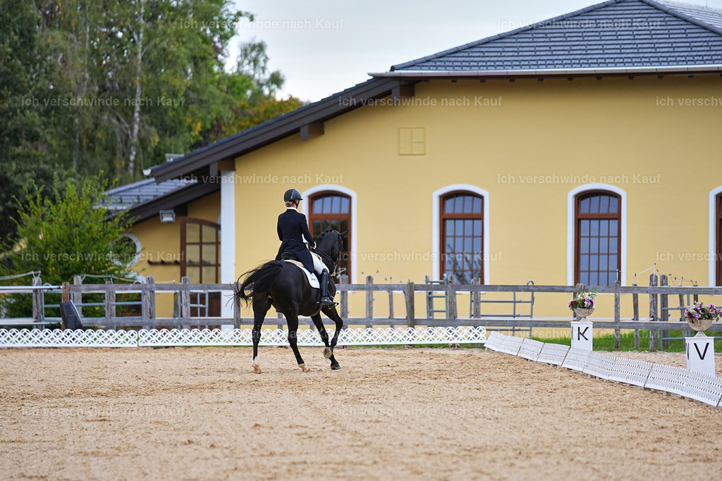 8_1-077-Klasse S_  -Marixx-4079 | working equitationturnier fotograf videograf stoibphotography marixx film working equitation deutschland reitsport turnierfotografie eventfotografie equestrian events