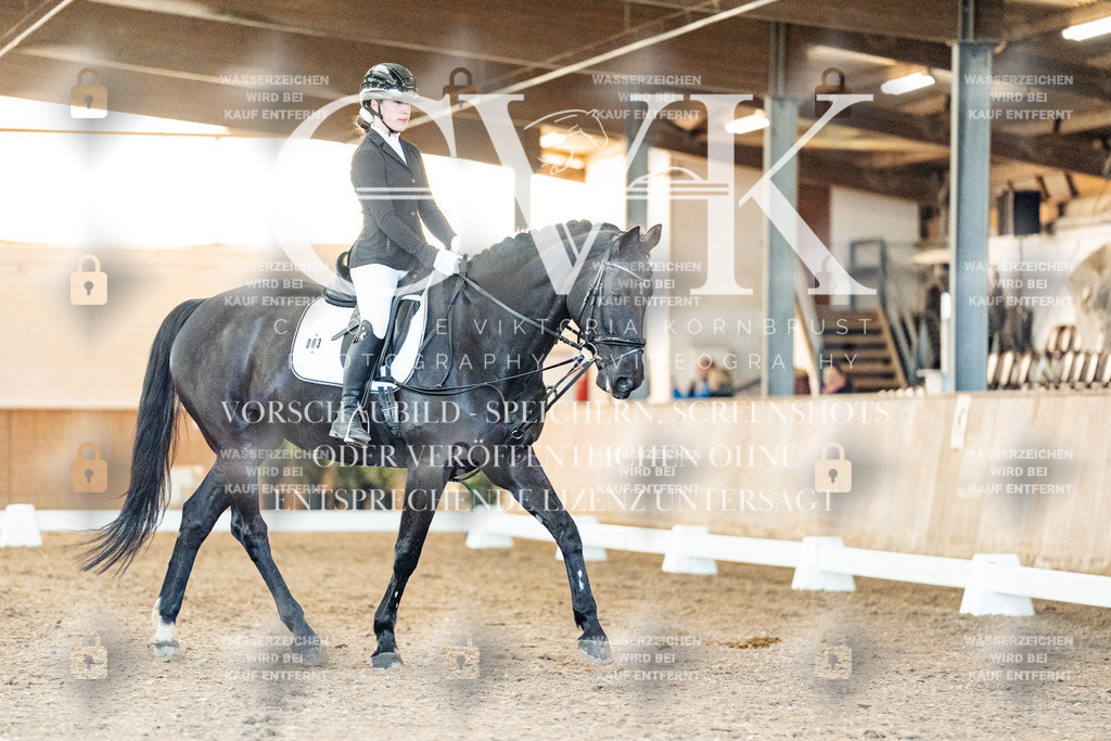 CK906921 | Turnierfotografie Pferdefotografie Trier Rheinland-Pfalz Pferdesport Reitsport Tierfotografie Sportfotografie Pferdevideo Pferdevideografie Equestrianvideography equestrianphotography  - Realisiert mit Pictrs.com