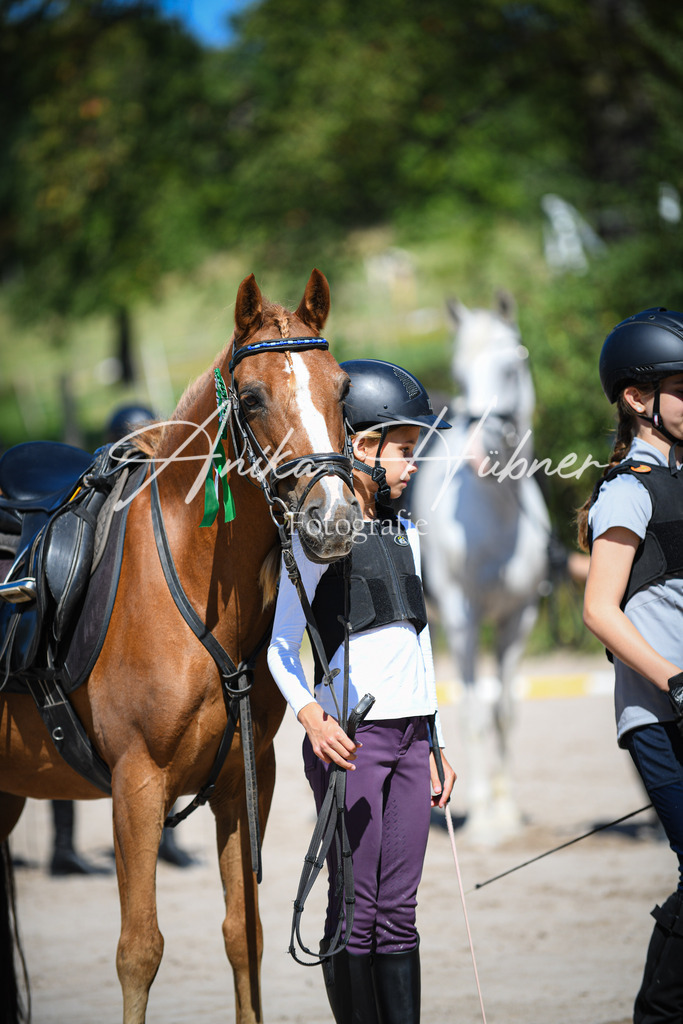 DSC_0312 | anikahuebner - Realisiert mit Pictrs.com