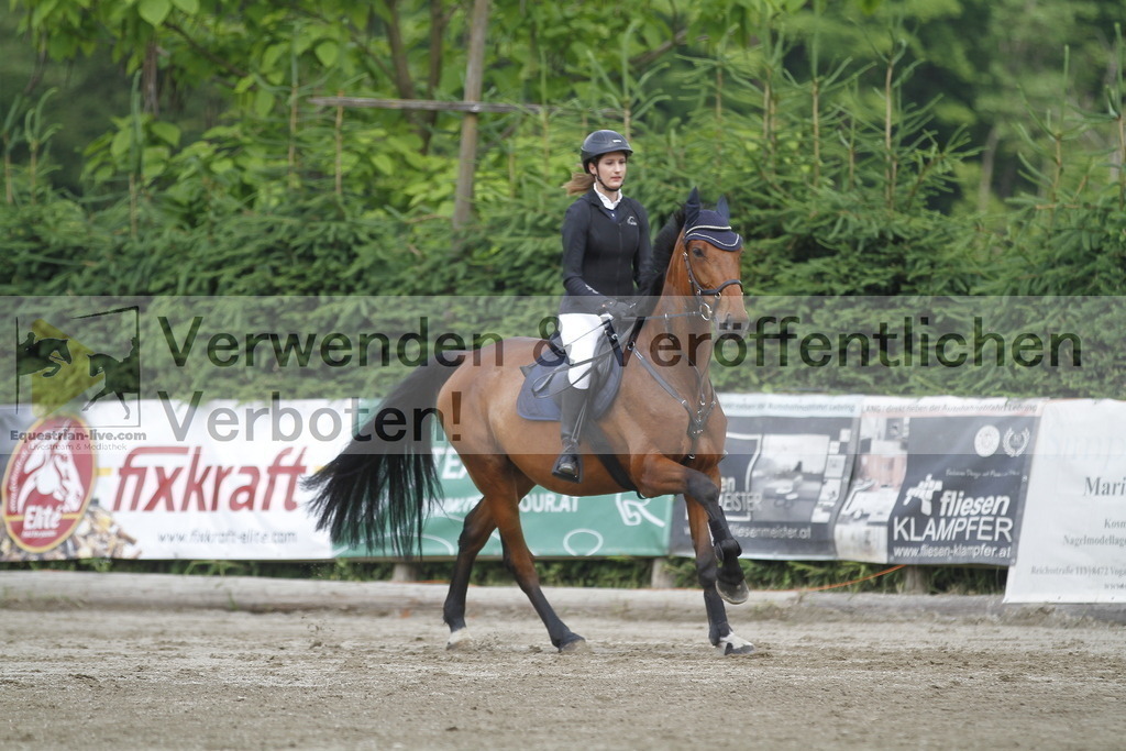 _MG_4338 | equestrian-live-com