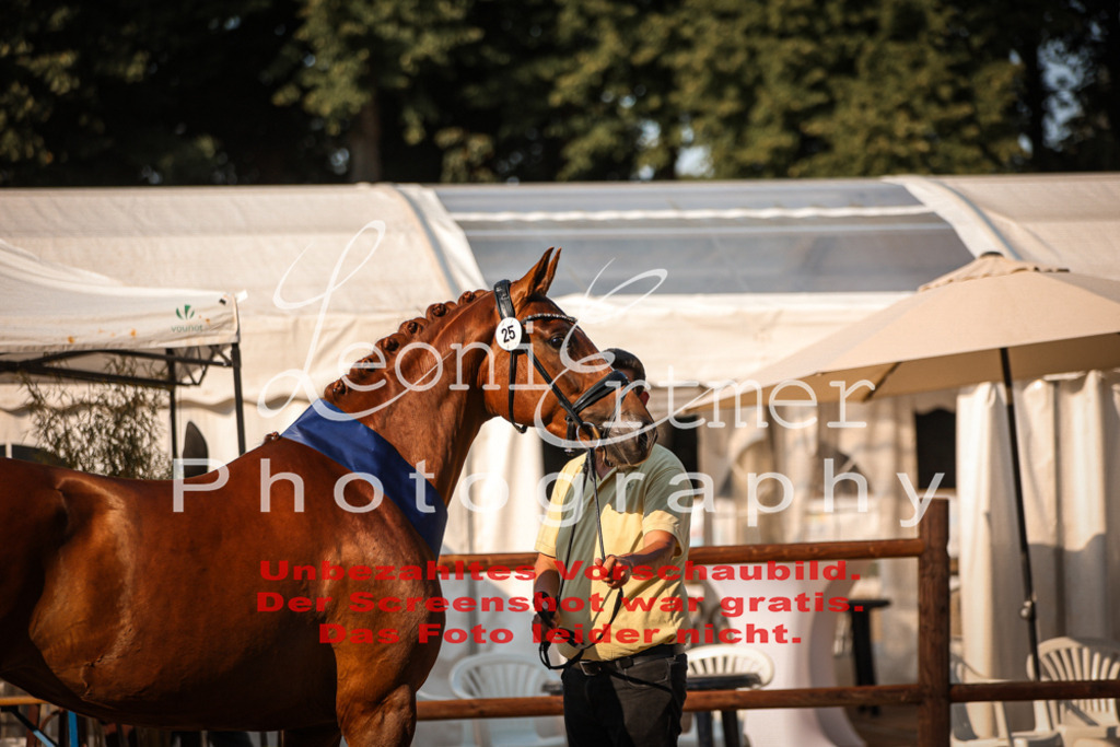DoER00080 | Leoni Ertmer Photography - Realisiert mit Pictrs.com