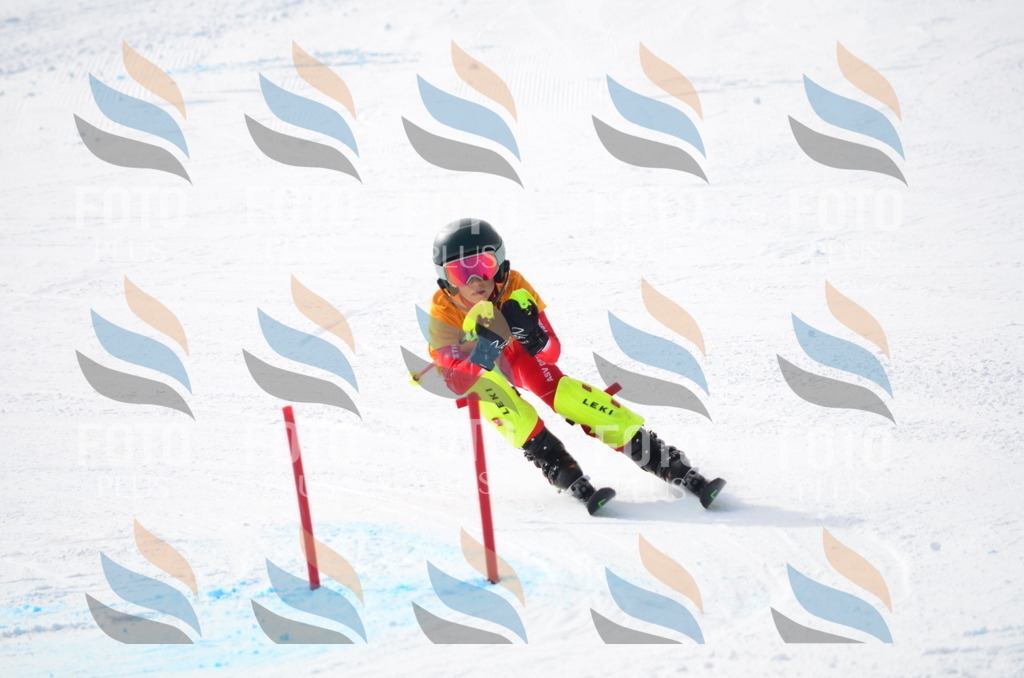 C8338 | holidayphoto