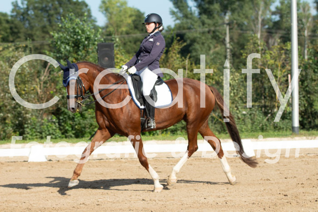 IMG_0558 | Creatify Fotografie