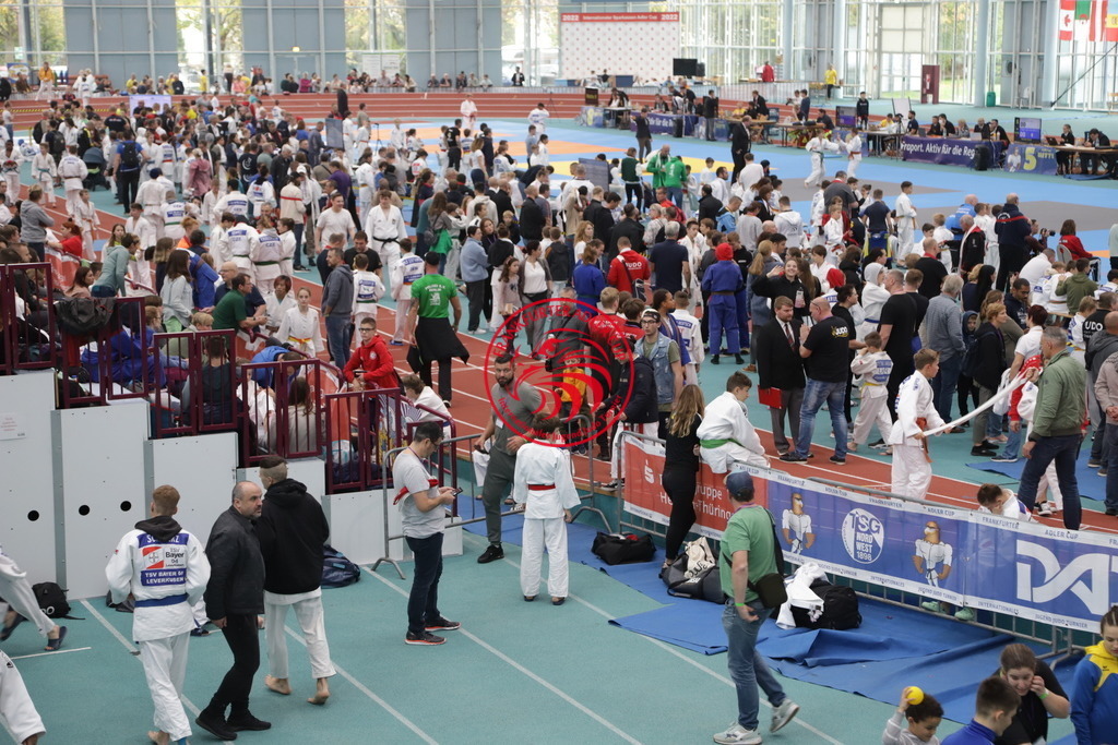 IMG_9118 | Fotos vom Adler Cup - Pictures from Adler Cup

Hier findet Ihr alle Eindrücke und großen Momente der Adler Cup Wochenenden. Here you will find all impressions and great moments of the Adler Cup weekends. - Realisiert mit Pictrs.com