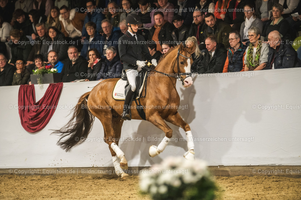 20240302_Hengstvorstellung_Marbach_TOMsPiC_0556 | equistock