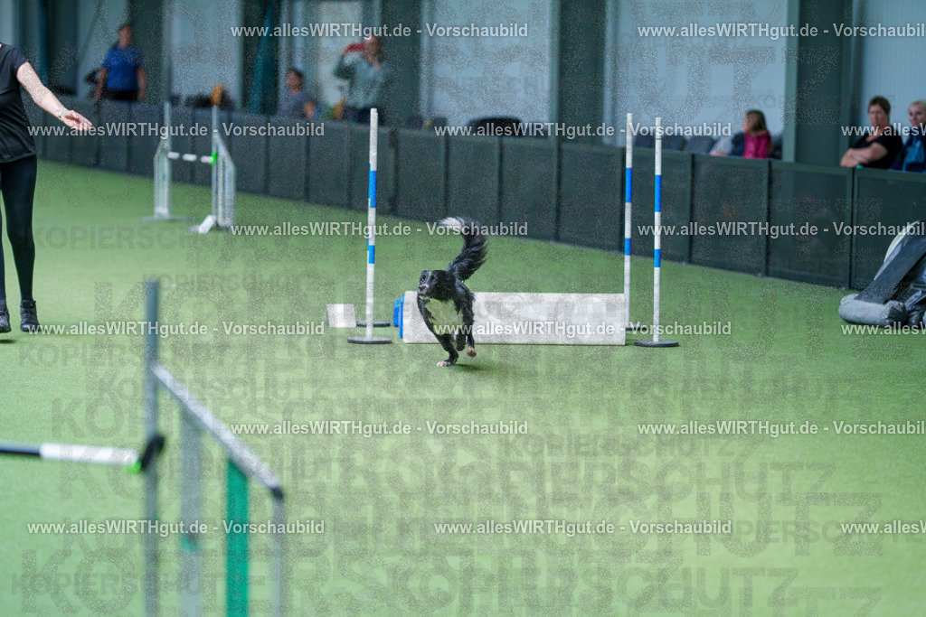 @allesWIRTHgut_Tierfotografie - www.allesWIRTHgut.de - 2604261237-7R501295 | Professionelle Tierfotografie in Mönchengladbach von Daniel Wirth (allesWIRTHgut). Liebevolle & natürliche Bilder von Hunden & Katzen für unvergessliche Erinnerungen.