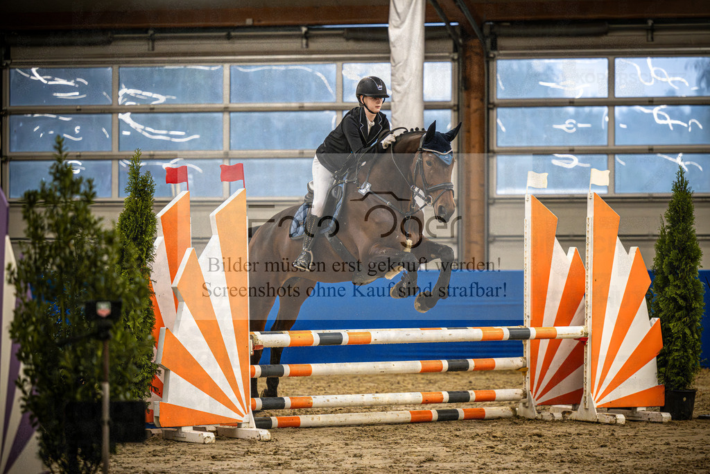 DOS_0852 | Entdecke hochwertige Reitturnierfotos von Foto Oger. Professionell, emotional und authentisch – jetzt Lieblingsmomente im Shop bestellen.Deutschlandweite Turnierfotografie. - Realisiert mit Pictrs.com