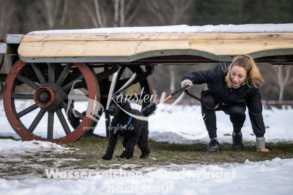 0812_ZZ90946-5 | kk-dogfotos