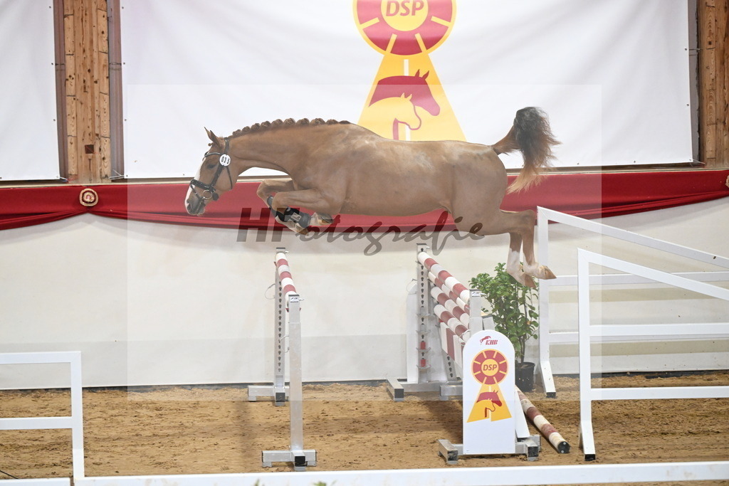 Kat.-Nr. 35 v. Ogano Sitte_Hannöver_2251264 | hf-fotografie - Realisiert mit Pictrs.com