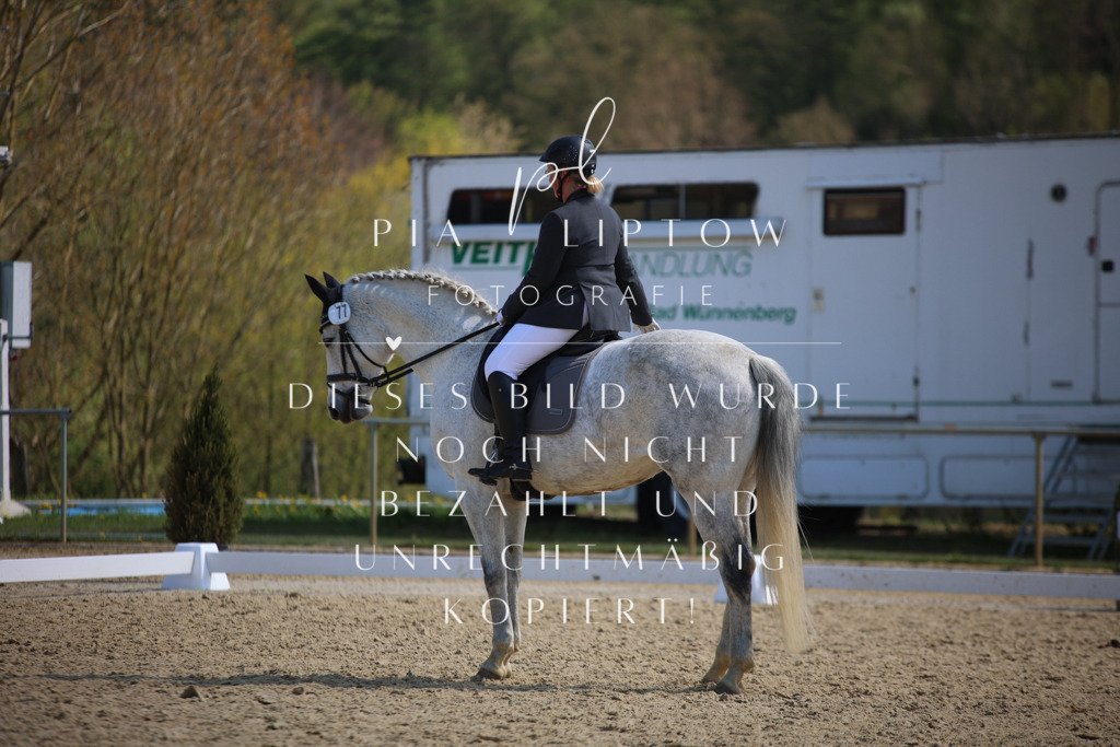 IMGT2742 | pl-fotografie