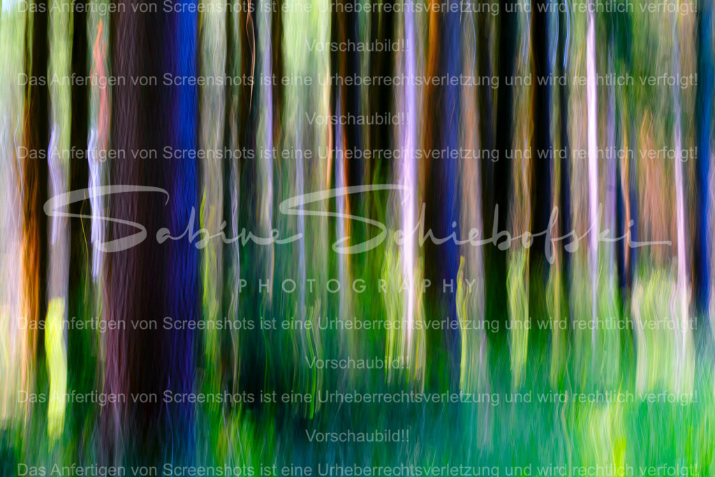 22-06-292022_06-NEU_63_mehr_Saettigung | People- und Tierfotografie, Imageaufnahmen, Veranstaltungsfotografie und Wandbilder aus der Natur ★ Made in Germany ✔️ Druck + Downloads ✔️ Naturfotografie in Top Qualität ★ schneller Versand, weltweite Lieferung! - Realisiert mit Pictrs.com