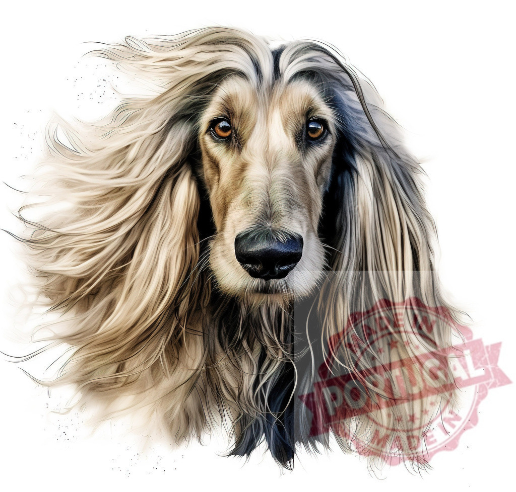 Afghan Hound head shot with flowing fur | Professional artful dog portraits Afghan Hound portrait with tan and black long flowing fur on white background - Realisiert mit Pictrs.com