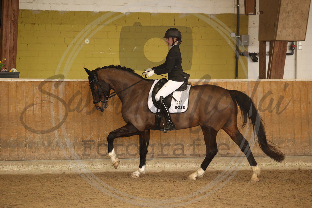 994A9152 | sabrinanicolaifotografie - Realisiert mit Pictrs.com