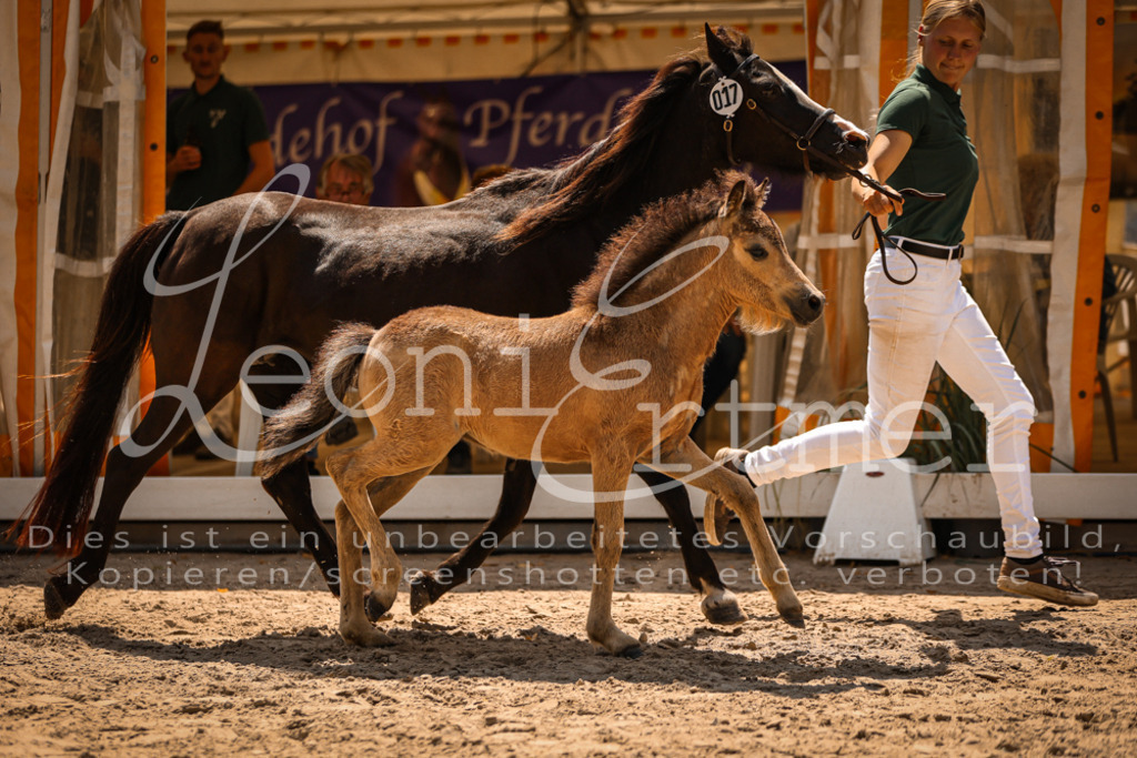 04.DoWP00047 | Leoni Ertmer Photography - Realisiert mit Pictrs.com