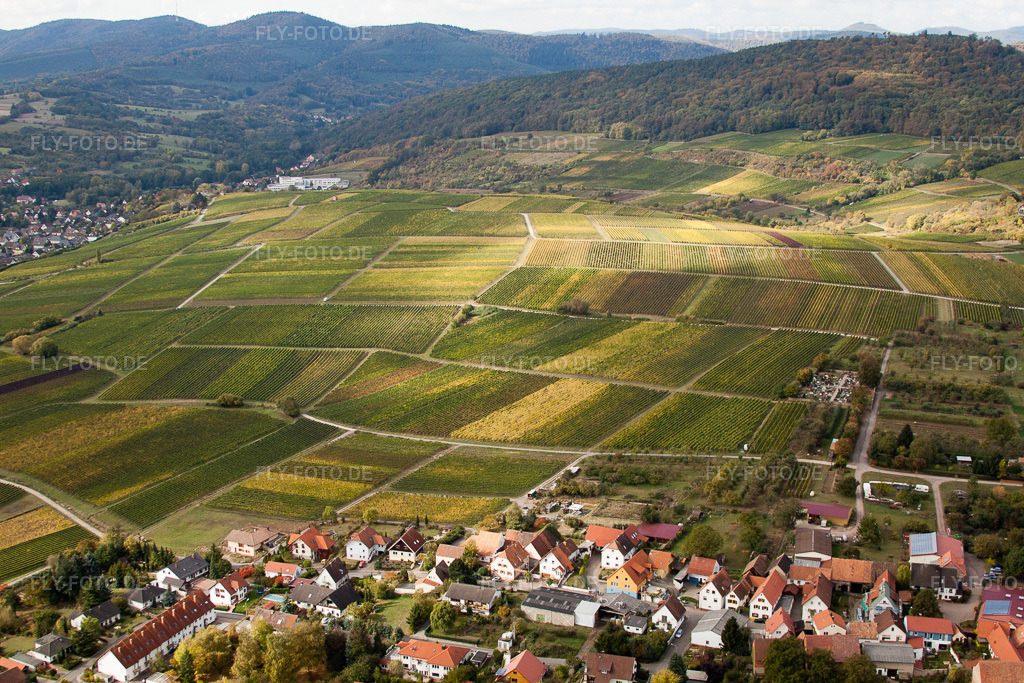 Luftbild: Schweigen, Sonnenberg im Ortsteil Schweigen in Schweigen-Rechtenbach im Bundesland Rheinland-Pfalz in Deutschland. Foto: IMG_22471.jpg vom 15.10.2009 durch Werner Riehm/FLY-FOTO.de