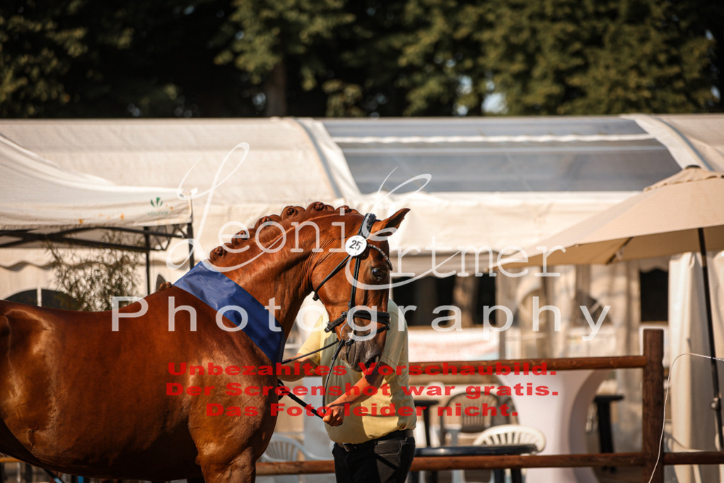 DoER00079 | Leoni Ertmer Photography - Realisiert mit Pictrs.com