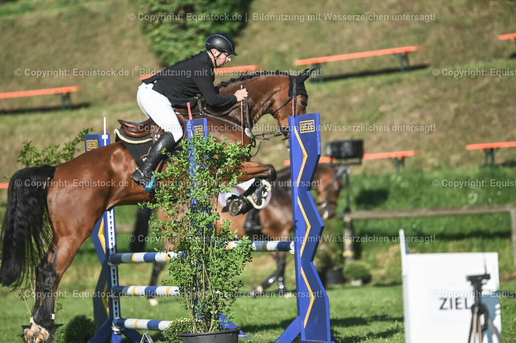 20230908_14-15_Springpferde-A_0033 | equistock