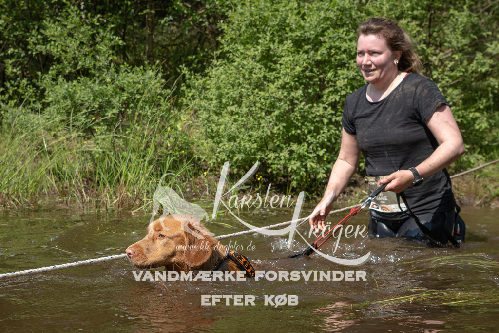 1057DKK991693 | kk-dogfotos