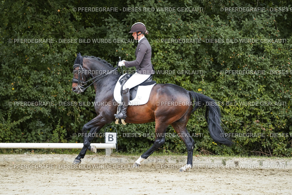 DSC08764 | Pferdegrafie