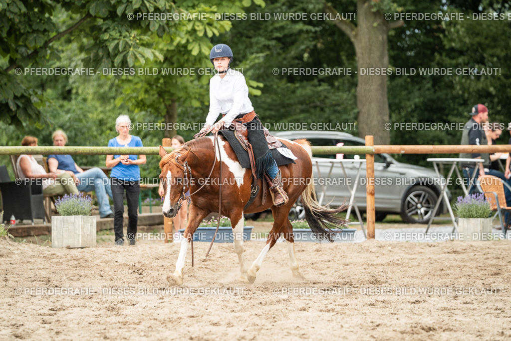 DSC03827 | Pferdegrafie