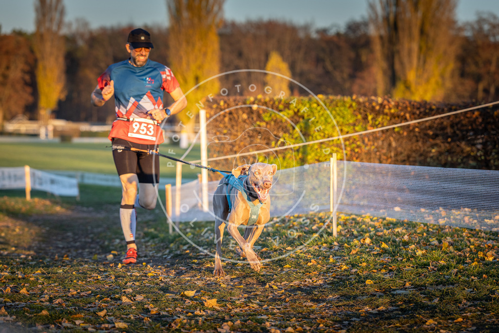 CaniXpix_DV3A5681 | Hundefotografie, Tierfotograf, Pfotenfotografie, Fotoshooting Hund, Hunde Portrait, Hundesport, Hundeportraits, Heideshooting, Hunde, Sportfotograf, Hundefotograf, Turnierhundsport, THS,  - Realisiert mit Pictrs.com