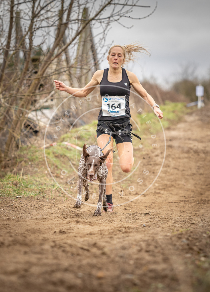 DV3A1793 | Hundefotografie, Tierfotograf, Pfotenfotografie, Fotoshooting Hund, Hunde Portrait, Hundesport, Hundeportraits, Heideshooting, Hunde, Sportfotograf, Hundefotograf, Turnierhundsport, THS,  - Realisiert mit Pictrs.com
