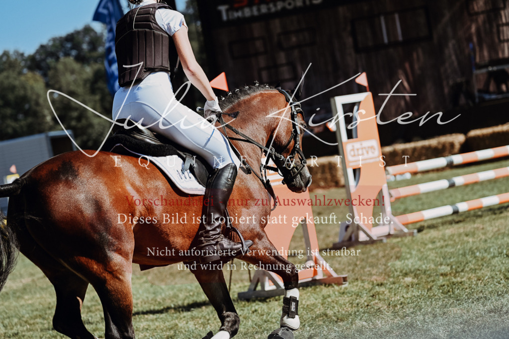 DSC_6830 | Pferde- und Turnierfotografie in Westsachsen. Pferdeportraits, Auftragszeichnungen und intuitive Kunst.