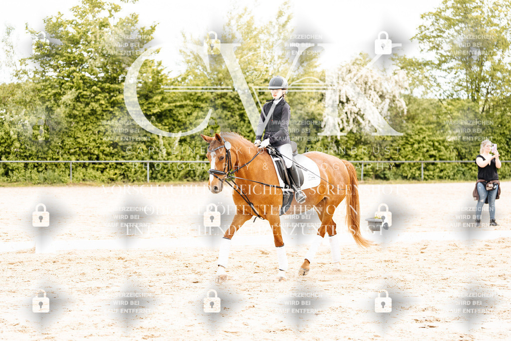 CK904220 | Turnierfotografie Pferdefotografie Trier Rheinland-Pfalz Pferdesport Reitsport Tierfotografie Sportfotografie Pferdevideo Pferdevideografie Equestrianvideography equestrianphotography  - Realisiert mit Pictrs.com