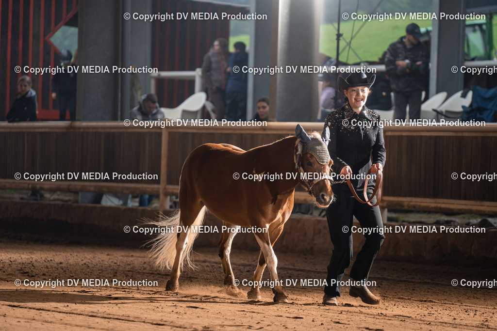 Erbach Tag 2-133 | dv-media-shop - Realisiert mit Pictrs.com