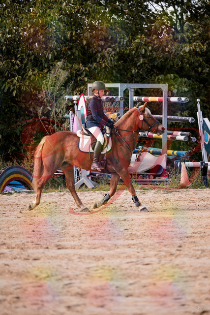 2026_10_03_Siefer-Hof_144616_Z81_22054282 | Professionelle Reitsport-, Turnier- und Eventfotografie von Robert Broda. Galerien mit ausgewählten und bearbeiteten Bildern direkt online ansehen und bestellen.