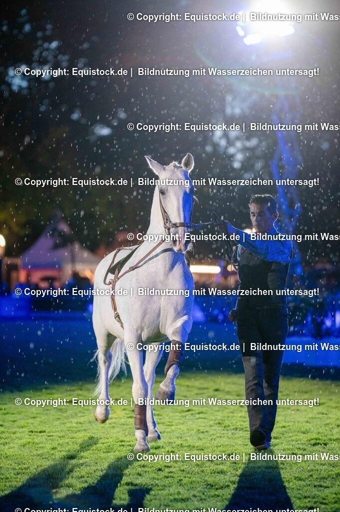 20250606_Lange-Pferdenacht_1099 | Foto: Thomas Hartig