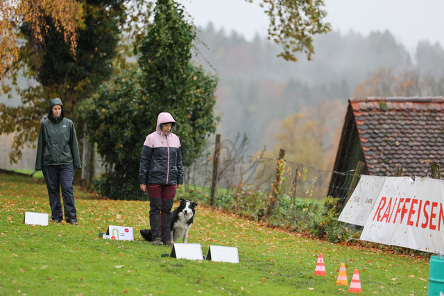 2025_Rally_Obedience_SM-117 | Ich fotografiere Hundeausstellungen, Sportanlässe, Zuchtstätten, Hundezucht, Hundeportrait, Lagotto - Realisiert mit Pictrs.com