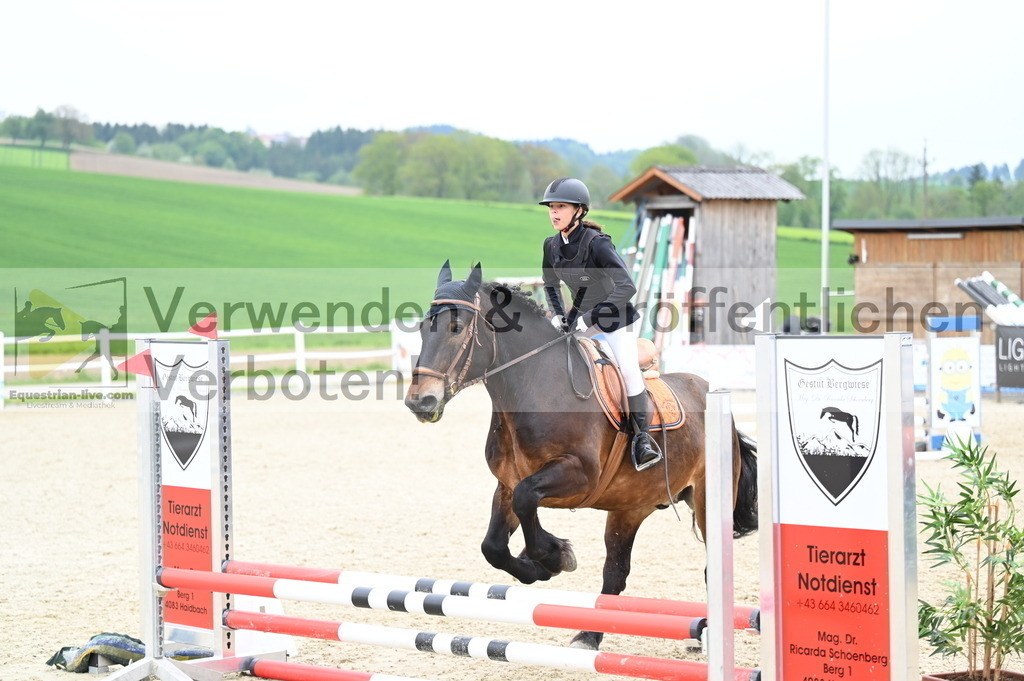 DSC_1949 | equestrian-live-com