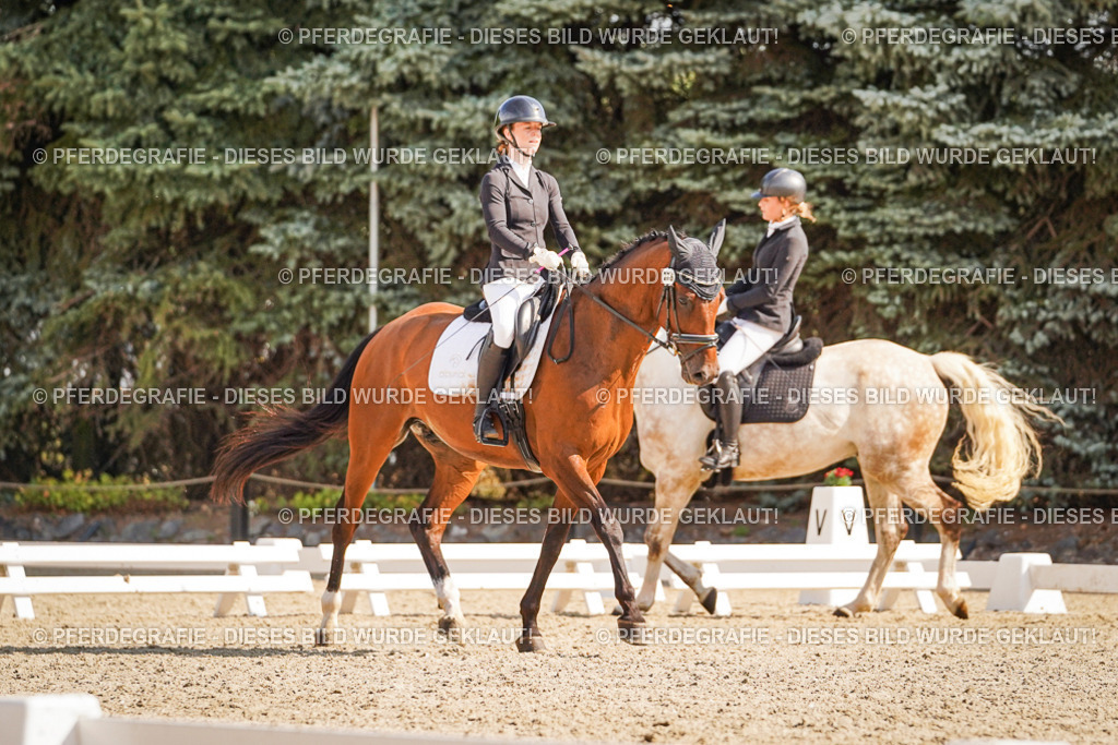 DSC00642 | Pferdegrafie