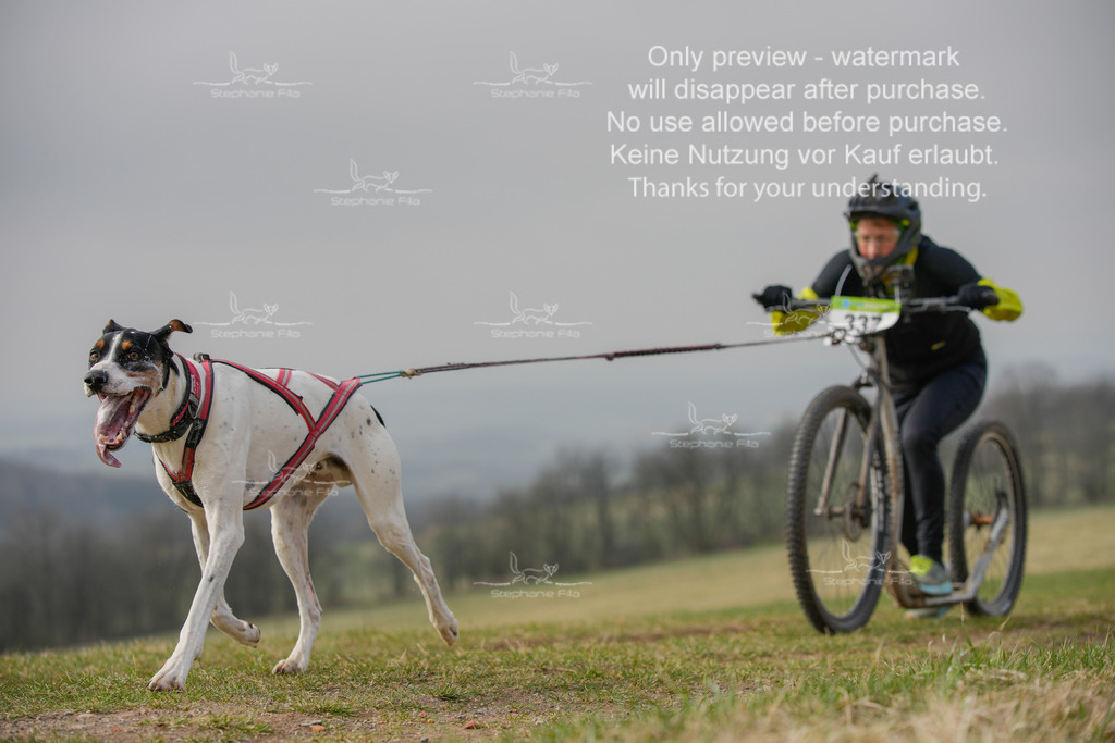 ScooterSA-190 | stephaniefillaphotographie - Realisiert mit Pictrs.com