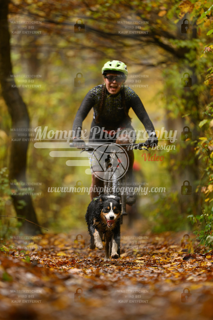 MompixPhotography_CD7S_DI_Bike-14 | mompixphotography