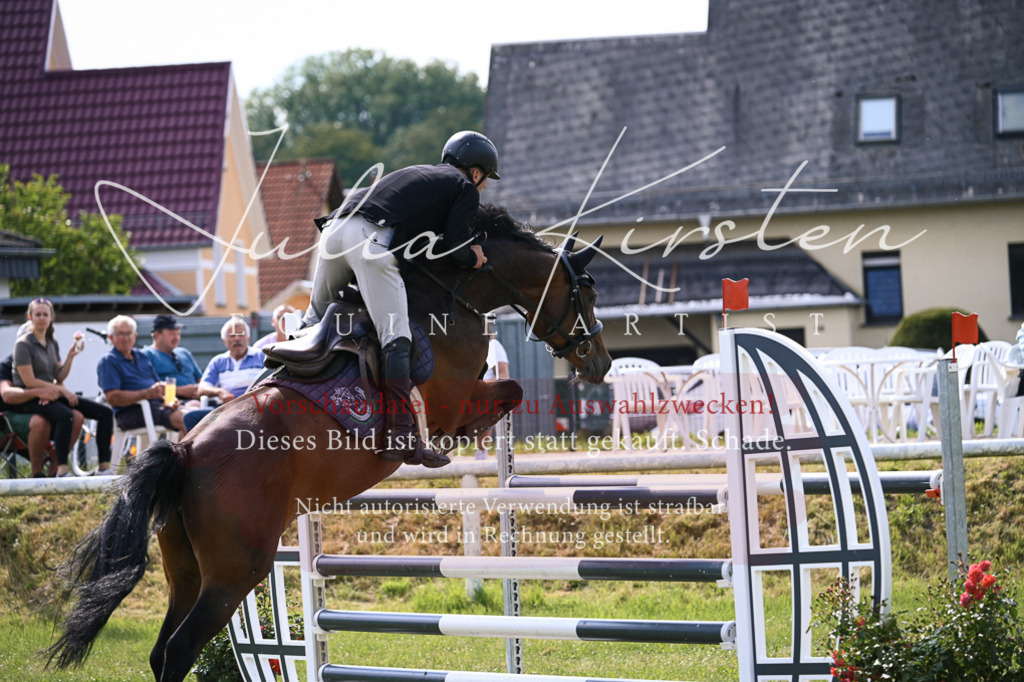 DSC_0762 | Pferde- und Turnierfotografie in Westsachsen. Pferdeportraits, Auftragszeichnungen und intuitive Kunst.