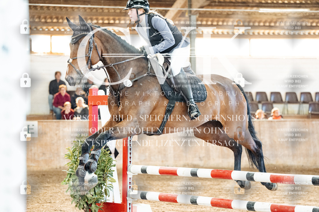 CK904657 | Turnierfotografie Pferdefotografie Trier Rheinland-Pfalz Pferdesport Reitsport Tierfotografie Sportfotografie Pferdevideo Pferdevideografie Equestrianvideography equestrianphotography  - Realized with Pictrs.com