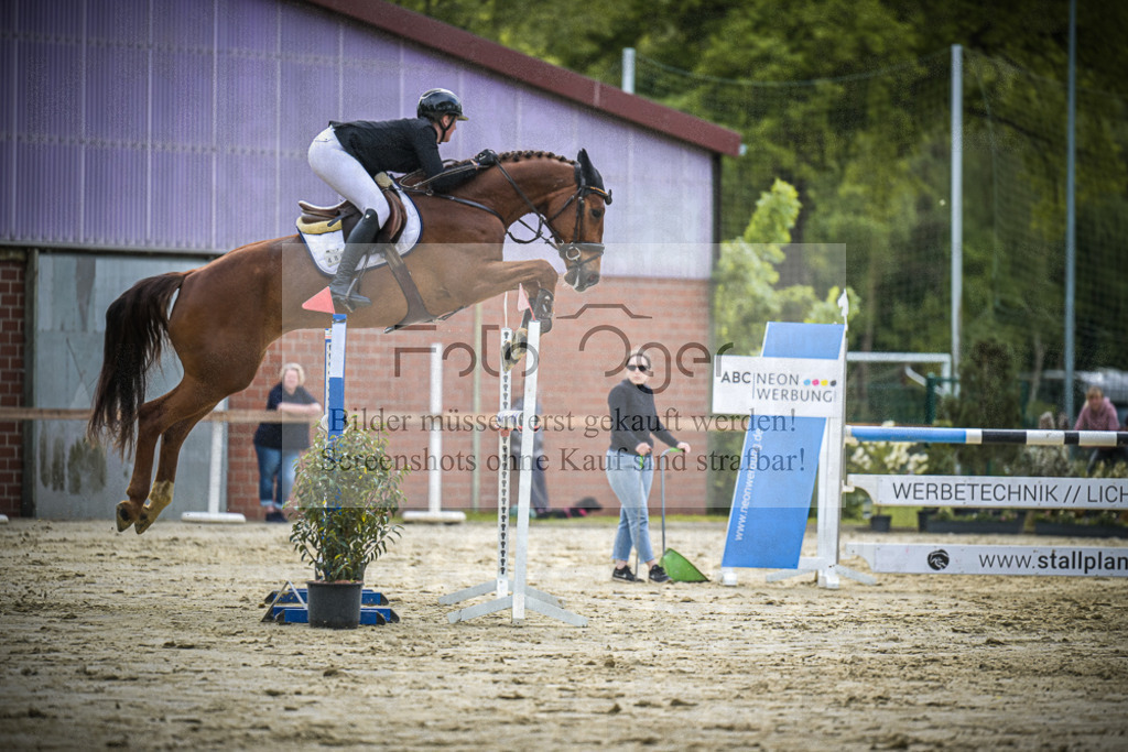DOS_1658 | Entdecke hochwertige Reitturnierfotos von Foto Oger. Professionell, emotional und authentisch – jetzt Lieblingsmomente im Shop bestellen.Deutschlandweite Turnierfotografie. - Realisiert mit Pictrs.com