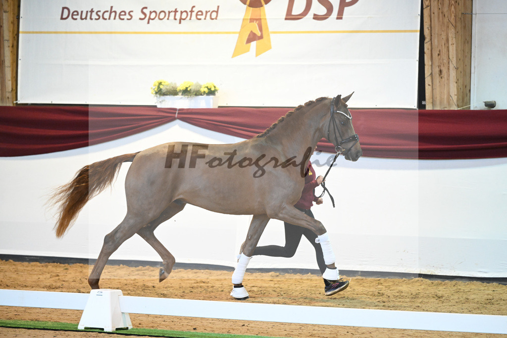Kat-Nr. 7 v. Bon Courage_Plank_66220050 | hf-fotografie - Realisiert mit Pictrs.com
